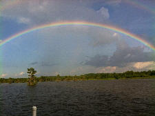 rainbow.jpg